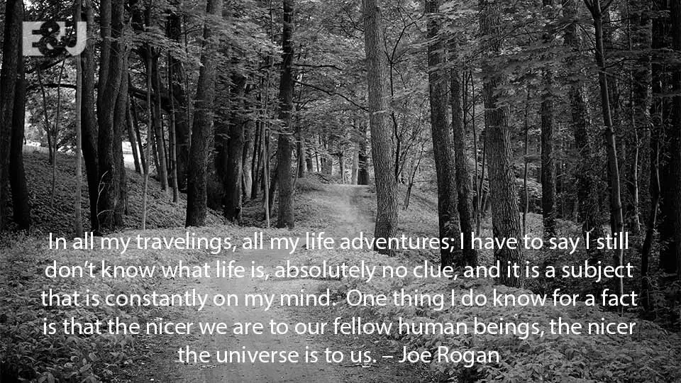 Motivational Quotes for Success Joe Rogan